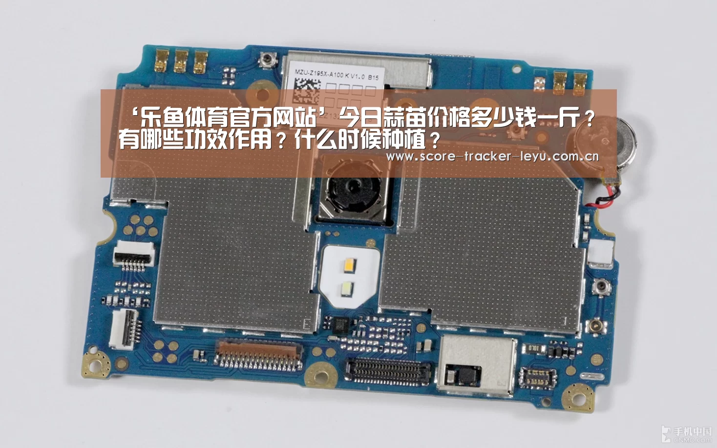 乐鱼体育官方网站