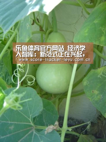 乐鱼体育官方网站_经济学人智库:新范式正在兴起,大部分传统行业愿意拥抱新技术(图1) 乐鱼体育官方网站