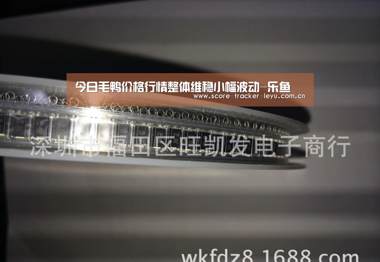 今日毛鸭价格行情整体维稳小幅波动-乐鱼(图1) 乐鱼