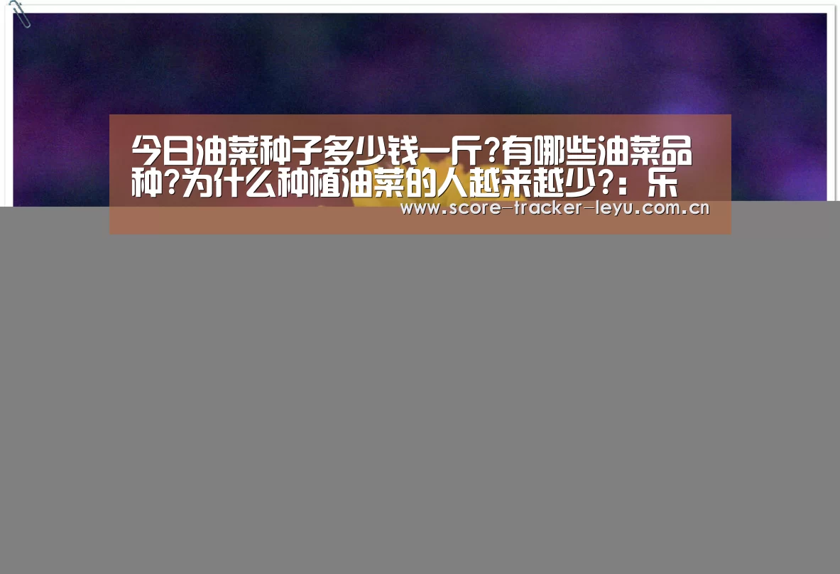 乐鱼