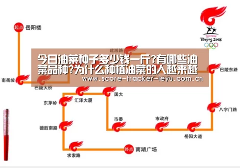 乐鱼体育